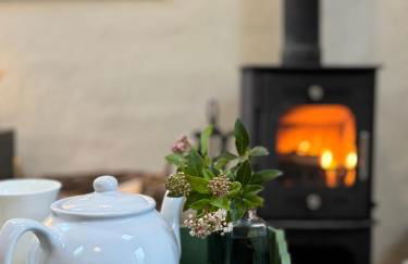 Preseli Hills Cottages - Luxury 5 star Cottages in Pembrokeshire - Foto 42