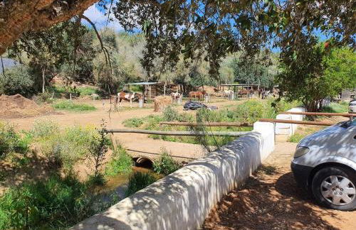 Casa Palmeria , Quinta da Saudade - Foto 36