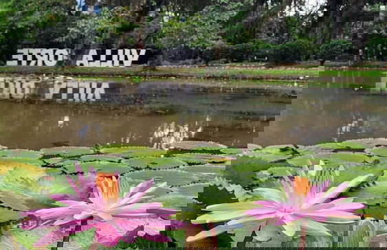 Hotel Fazenda Villa-Forte - Foto 75