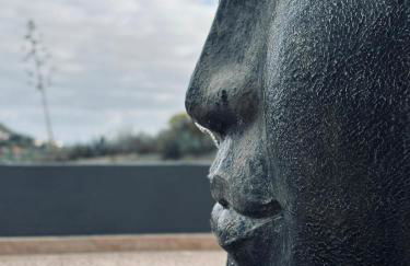 Agrotur Fenix - Foto 6