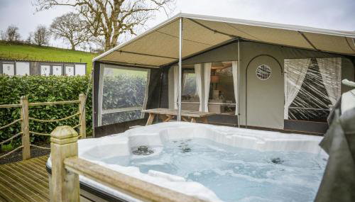 King Fisher - Foto 2