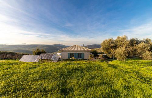 Villa Vitsilias under the cretan sky - Photo 27