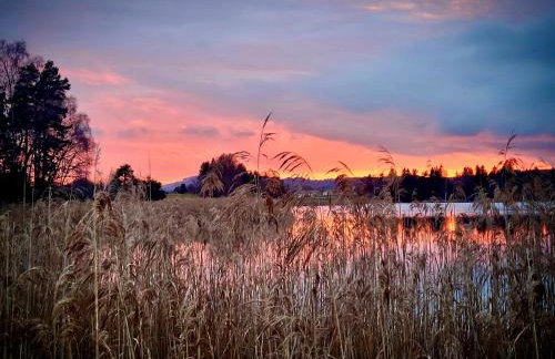 Kathi´s Allgäuliebe - Foto 8