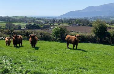 Roddys cottage three bedroom with hot tub sleeps6 - Foto 16