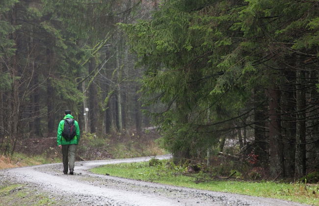 Familienferienhaus in Huttenrode - Foto 30