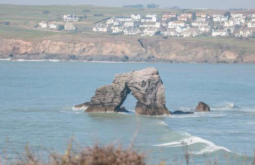 Sea Campion - Foto 34