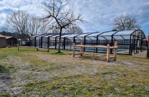 Sous la canopée - le calme au bord du lac - Foto 27