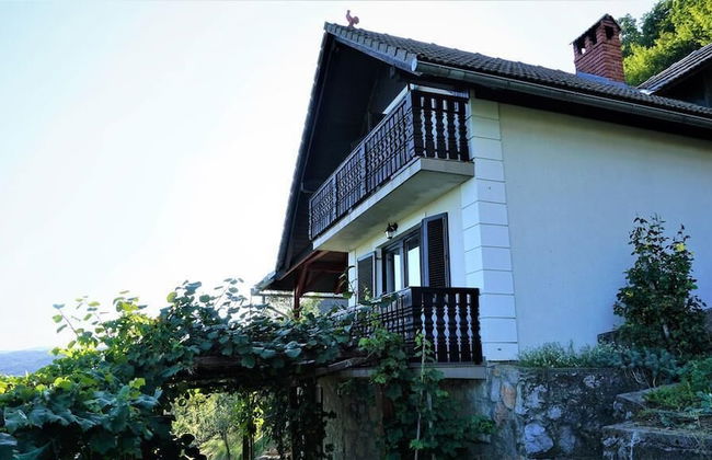 Vineyard Cottage Zajc - Photo 22