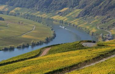 Ferienhaus Nicole - Foto 19