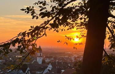 Expat Apartment Furnished Near Heidelberg Center - Foto 57