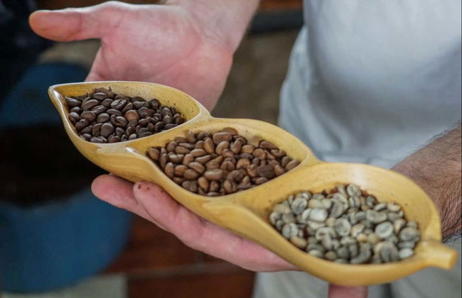 Tour del café y el chocolate - Foto 6