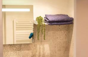 Larroque Haute Gites - Foto 43