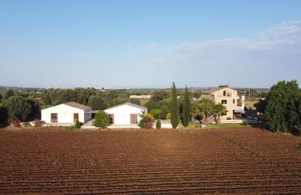 Orecchie di Lepre - Foto 1