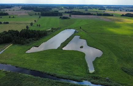 Agroturystyka Grodzisko - Foto 7