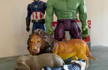 Le clos des oliviers - Photo 7