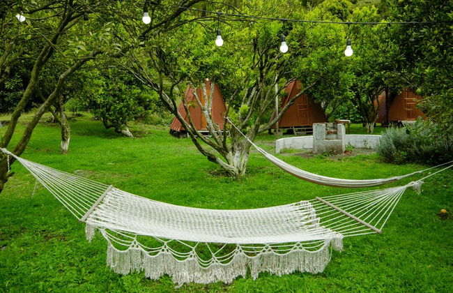 Natural Garden Glamping - Foto 10