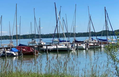 La Vie en rose - Foto 61