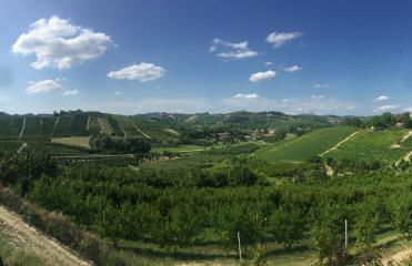 Villino Ca' Bianca, vicino ad Alba, NO ZANZARE, accessibile e con sollevatori aerei - Foto 52