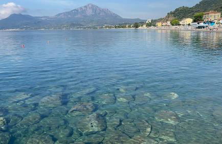 VILLA a MARE - Foto 31