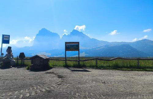 SiLENA Dolomites - Foto 21