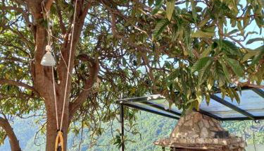 Orizontas Pilio Villa - Foto 4, Garden, Garden view