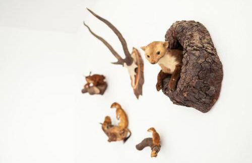 Ferienhof Obertor Heuboden - Foto 8