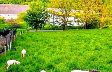 Ferienwohnung Rehberge - Foto 30