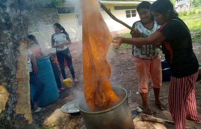 Oficina de artesanato na floresta amazônica - Foto 2