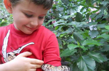 Residence San Paolo - Foto 62