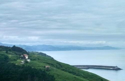 Gure ametsa - Foto 29