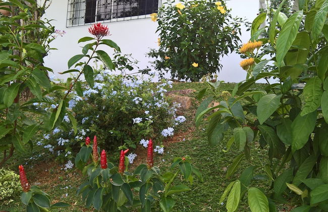 Chepsted Chalets - Foto 18