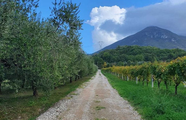 Unique Countryside Loft Room, Near Naples - Foto 1