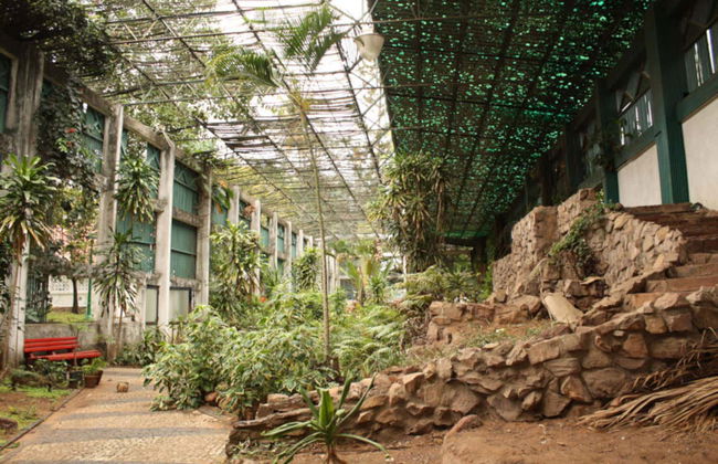 Visita guiada por Maputo - Foto 1