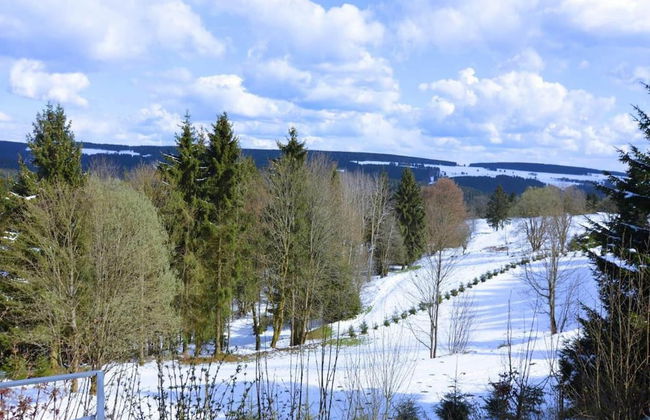 Chalet in Schnett Near Ski Slopes - Foto 34