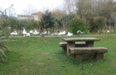 Casa do Moinho Rural campo e praia , 9 pessoas, animais benvindos - Foto 28
