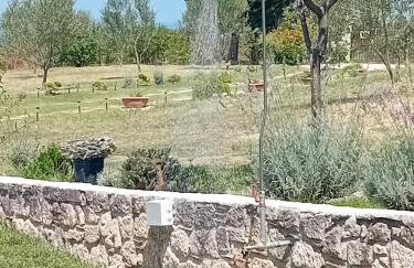 Κτήμα Verde - Foto 58