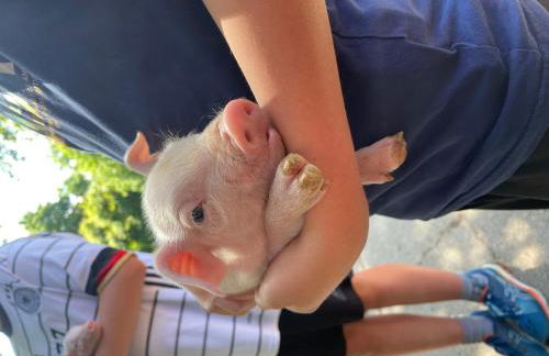 Hof Brockmann - Ferienhaus Spieker - Foto 12