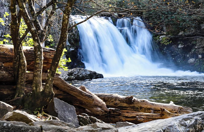 Mountain Magic by Jackson Mountain Rentals - Foto 33