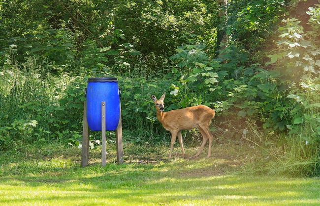 14 Person Holiday Home in Stroby - Foto 33
