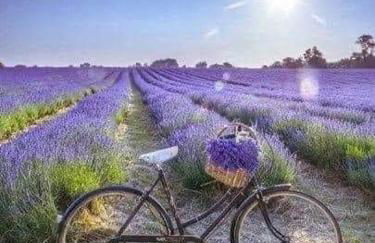 GITE DE LA TRUFFIERE "Les Truffes" - Foto 28