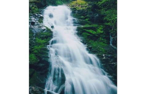 Hanland House - Foto 37