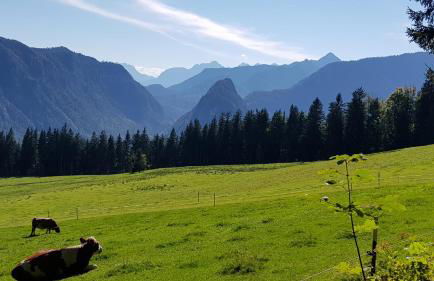 Alpina Inzell Wohnung 454 - Foto 32