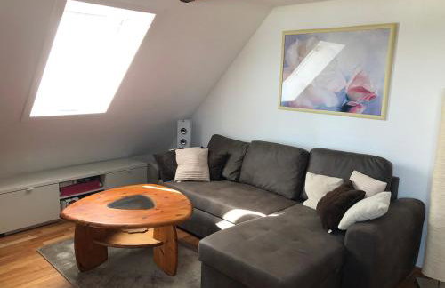 Elbblick Schnackenburg - Foto 13