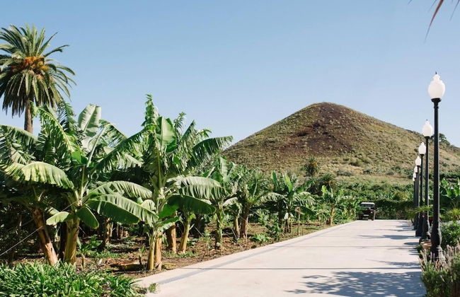 Casa Rural El Patio de Tita - Foto 38
