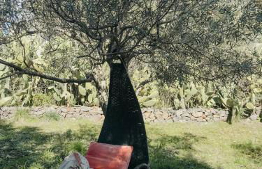 Panoramic Villa Among Vizzini's Cacti - Foto 39