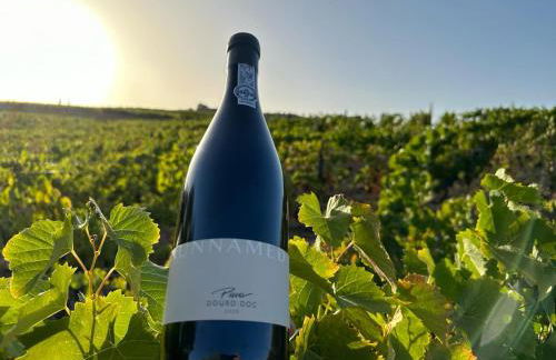 Quinta dos Piscos - Foto 79