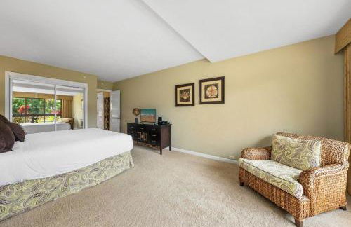 Kaanapali Alii 411 · ALII 411 Ground Floor 2BD at OceanFront Res - Photo 29