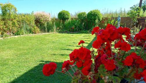 Bungalow with a view - Foto 2