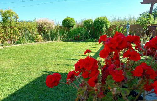 Bungalow with a view - Foto 2