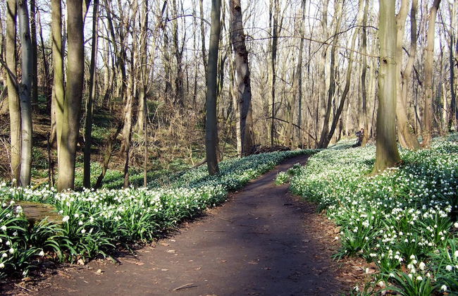 Living in the old Granary - Foto 17